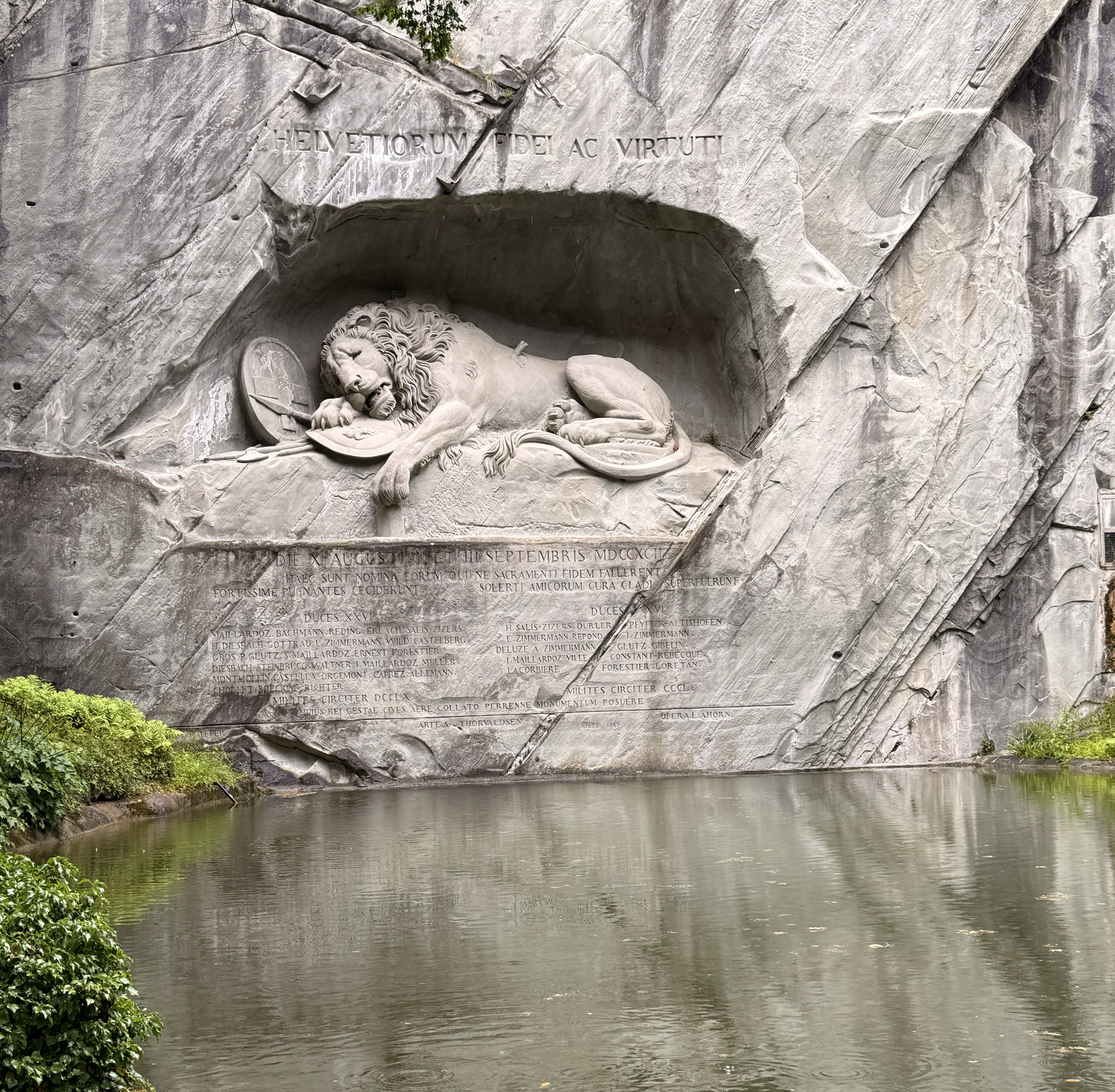 lion.png